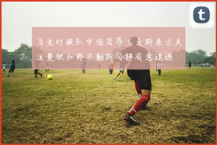 马竞对狼队中场若昂戈麦斯表示关注曼联和那不勒斯同样有意追逐