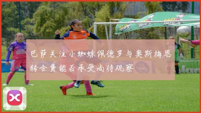 巴萨关注小蜘蛛佩德罗与奥斯梅恩转会费能否承受尚待观察