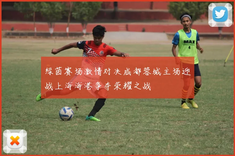 绿茵赛场激情对决成都蓉城主场迎战上海海港争夺荣耀之战